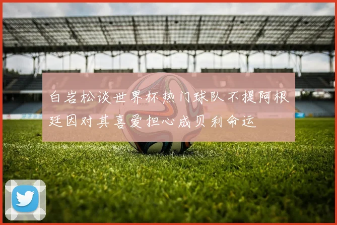 白岩松谈世界杯热门球队不提阿根廷因对其喜爱担心成贝利命运